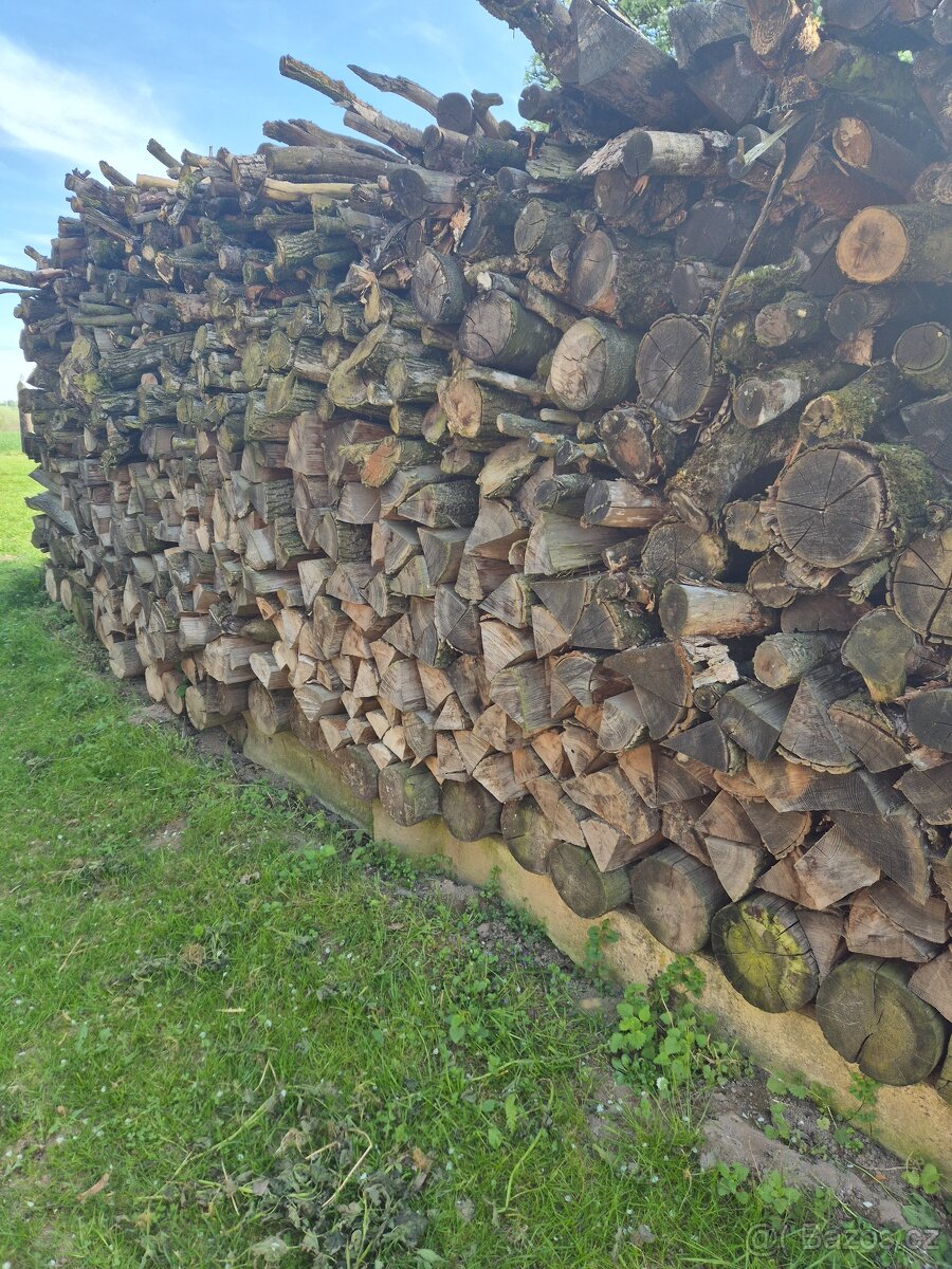 Palivové dřevo - 3