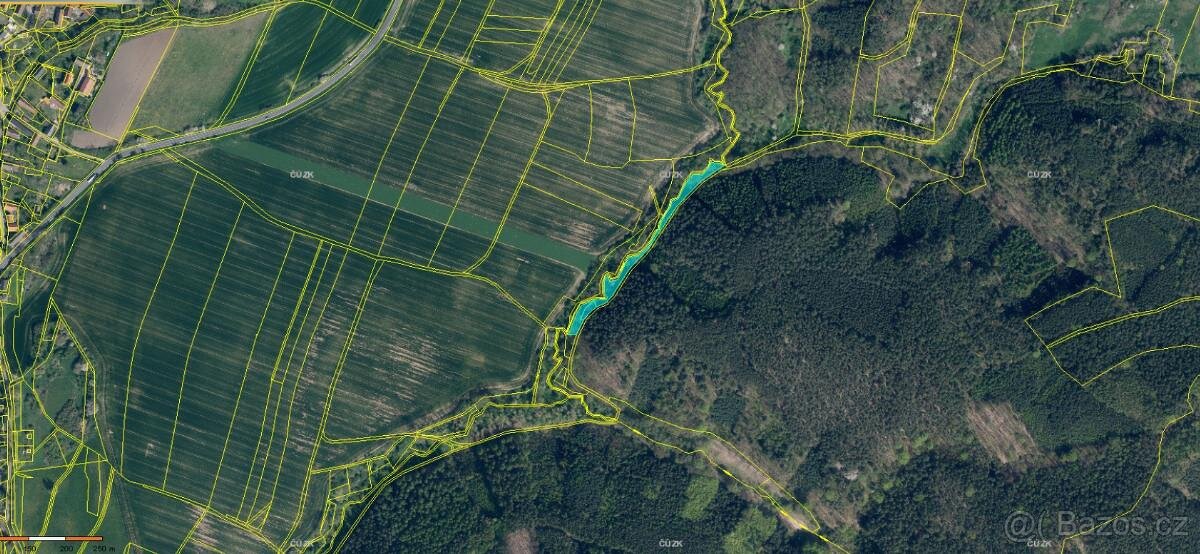 Prodáme lesní pozemky v k.ú. Blíževedly - 3
