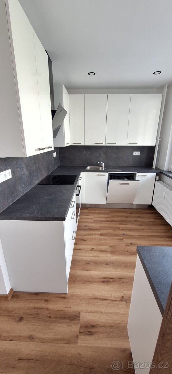 Zrekonstruovaný byt 2+1 - 3