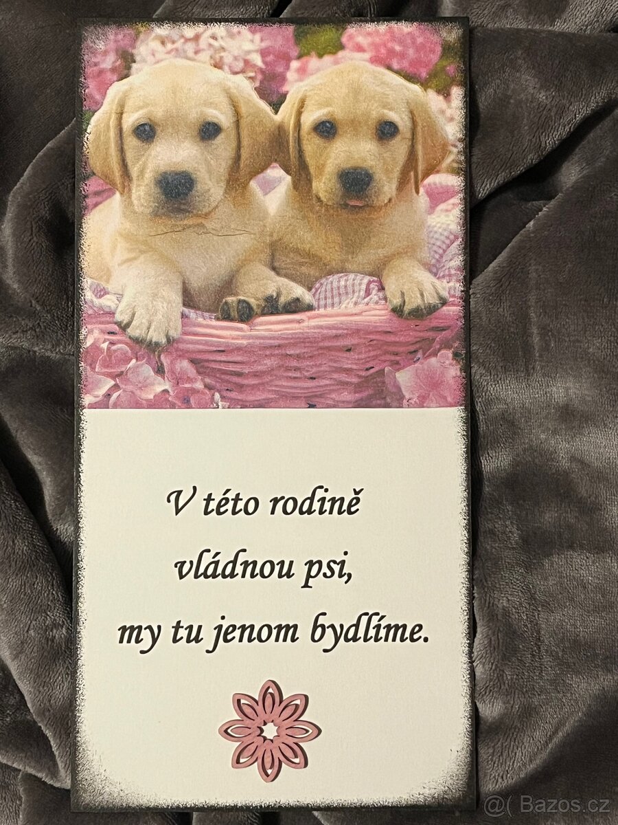 Cedulka (č.6) - 3
