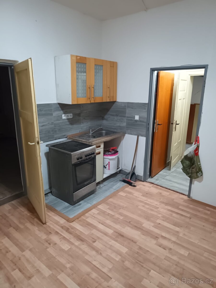 Pronajmu 2+1 na Vrchu S VLASTNÍ ZAHRADOU - 3