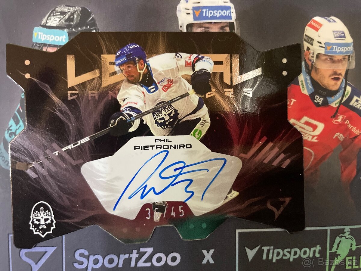 Hokejové kartičky - 3