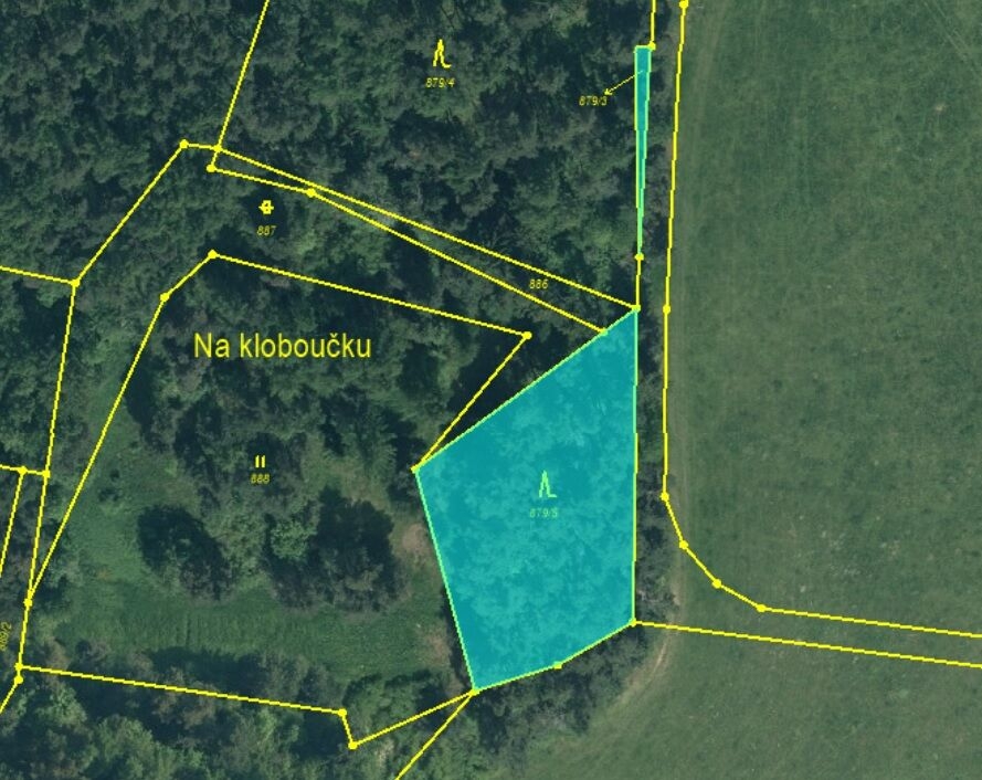 Prodej lesa, 17.038 m2, Bušanovice - 3