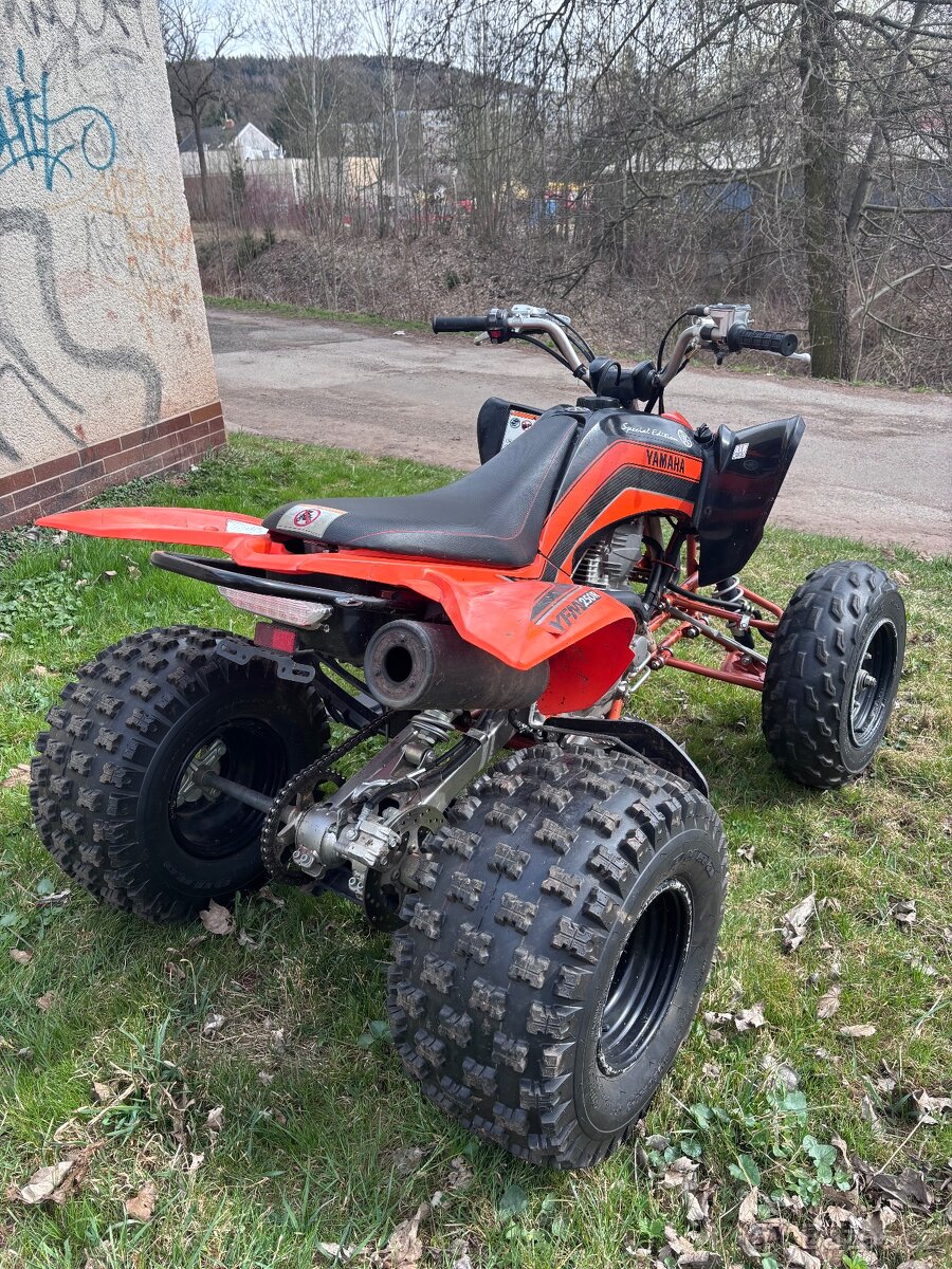 Yamaha Raptor 250
