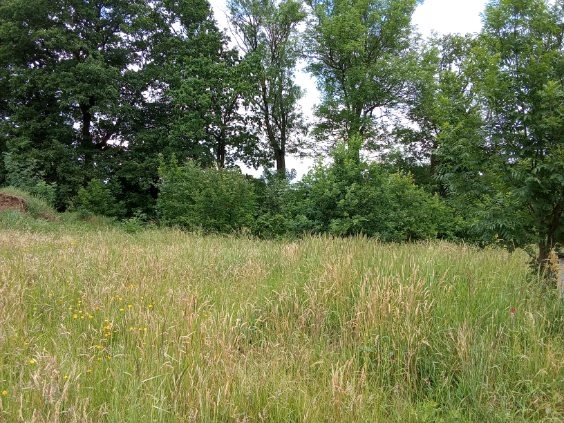 pozemek pro stavbu RD SRNOJEDY - 3