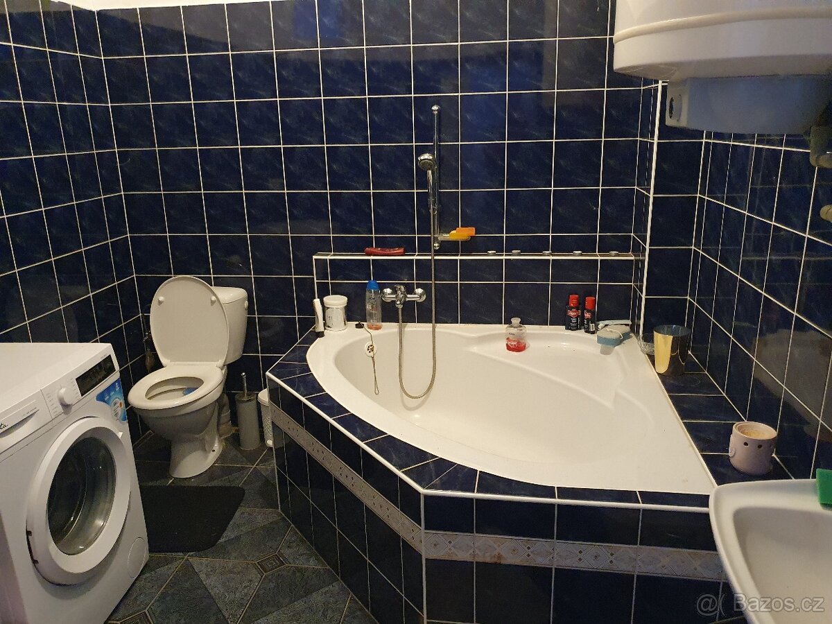 Pronájem bytu 1+1 o rozloze 45 m2 - 3