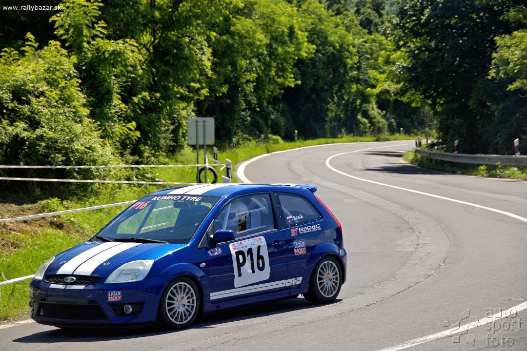 Ford Fiesta ST150 rally - 3