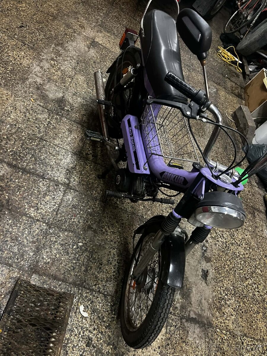 Hera ankur Majestic - 3