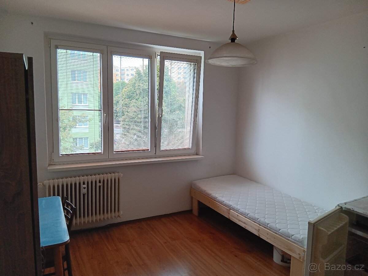 Pronajmu byt 1+kk , Studentská ul., Jirkov - Chomutov - 3