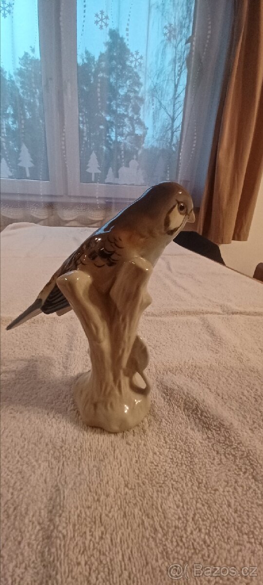 Porcelánová poštolka pestrá - 3