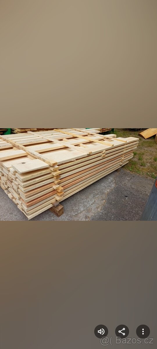Borovice prkna - 3