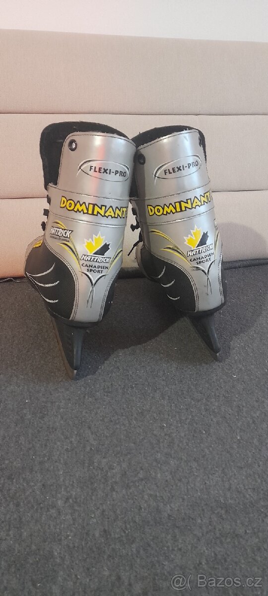 Brusle na led..45 - 3