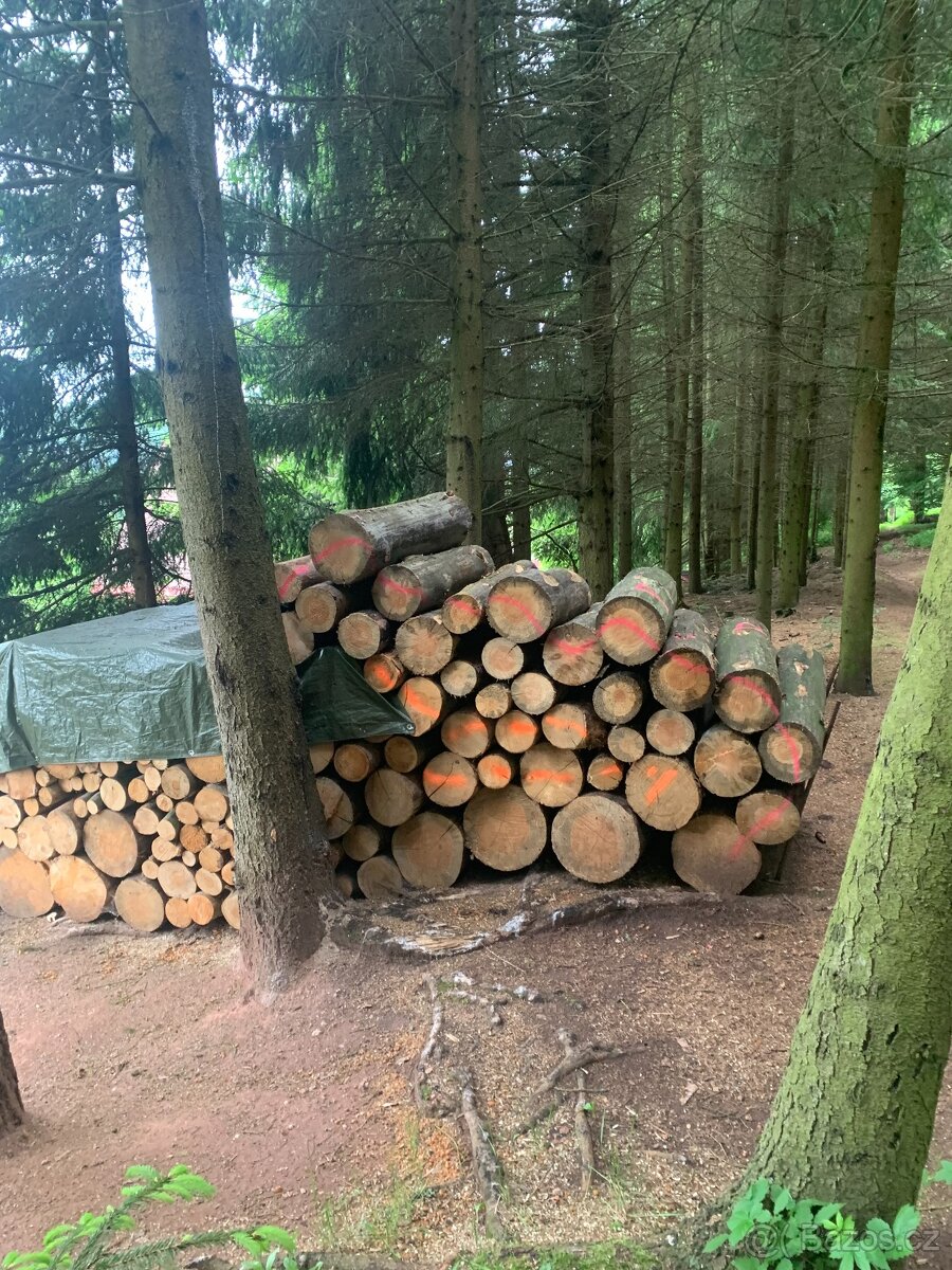 Prodám palivové dřebvo - 3