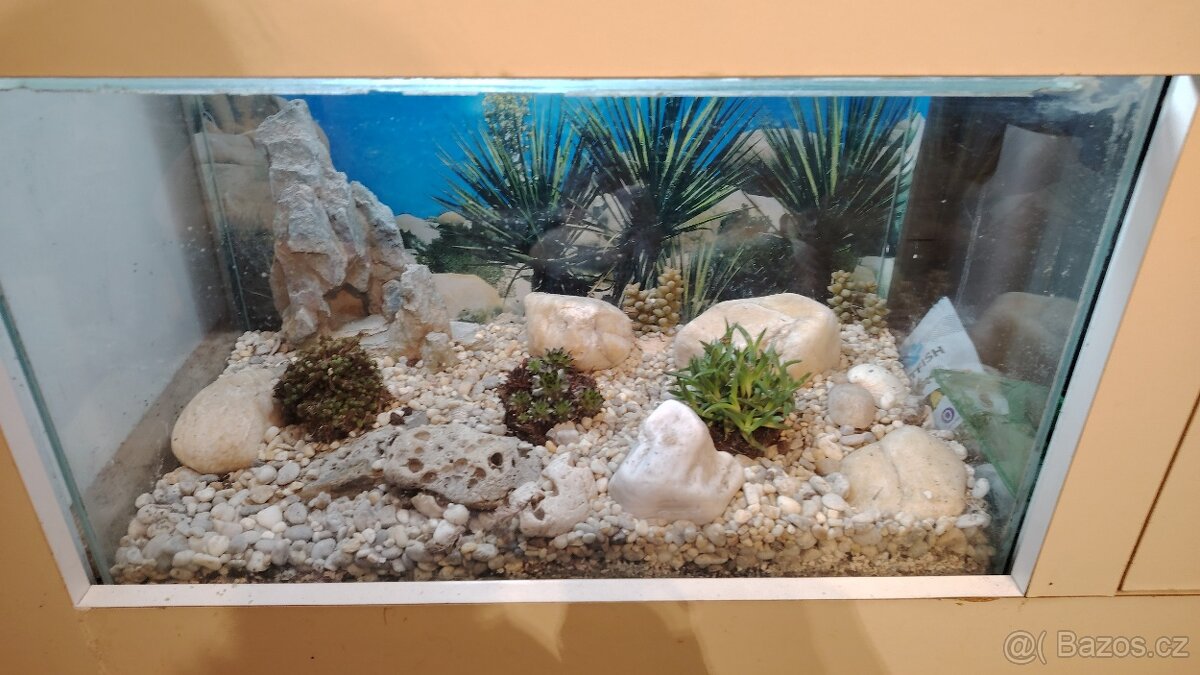 Prodám set akvarii - 3