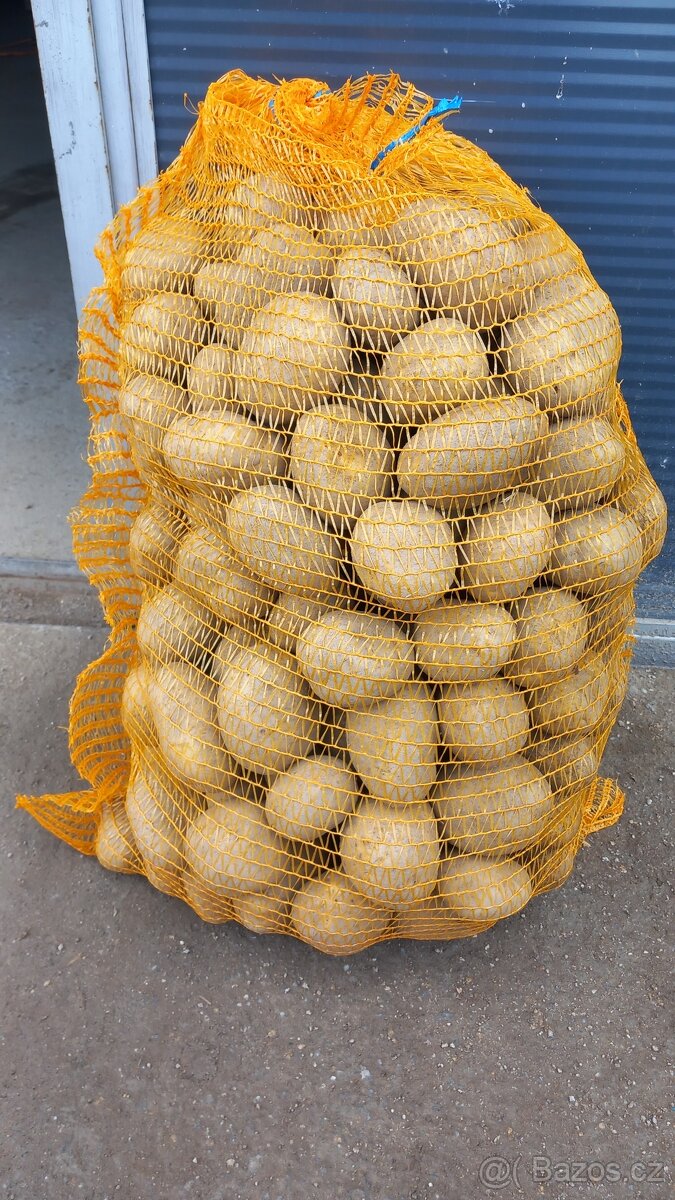 Brambory Adéla z vysočiny - 3