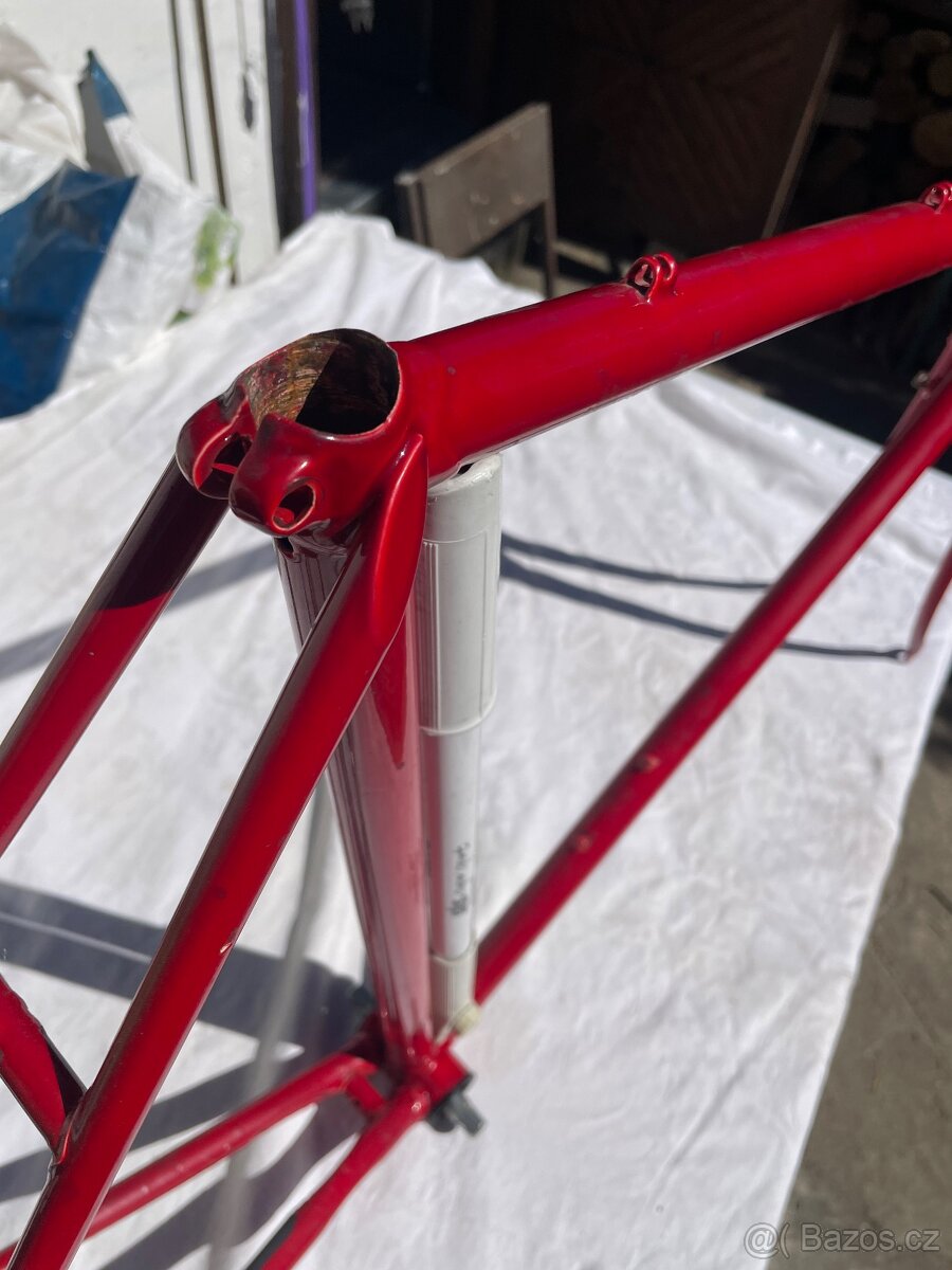 Favorit 56cm - 3