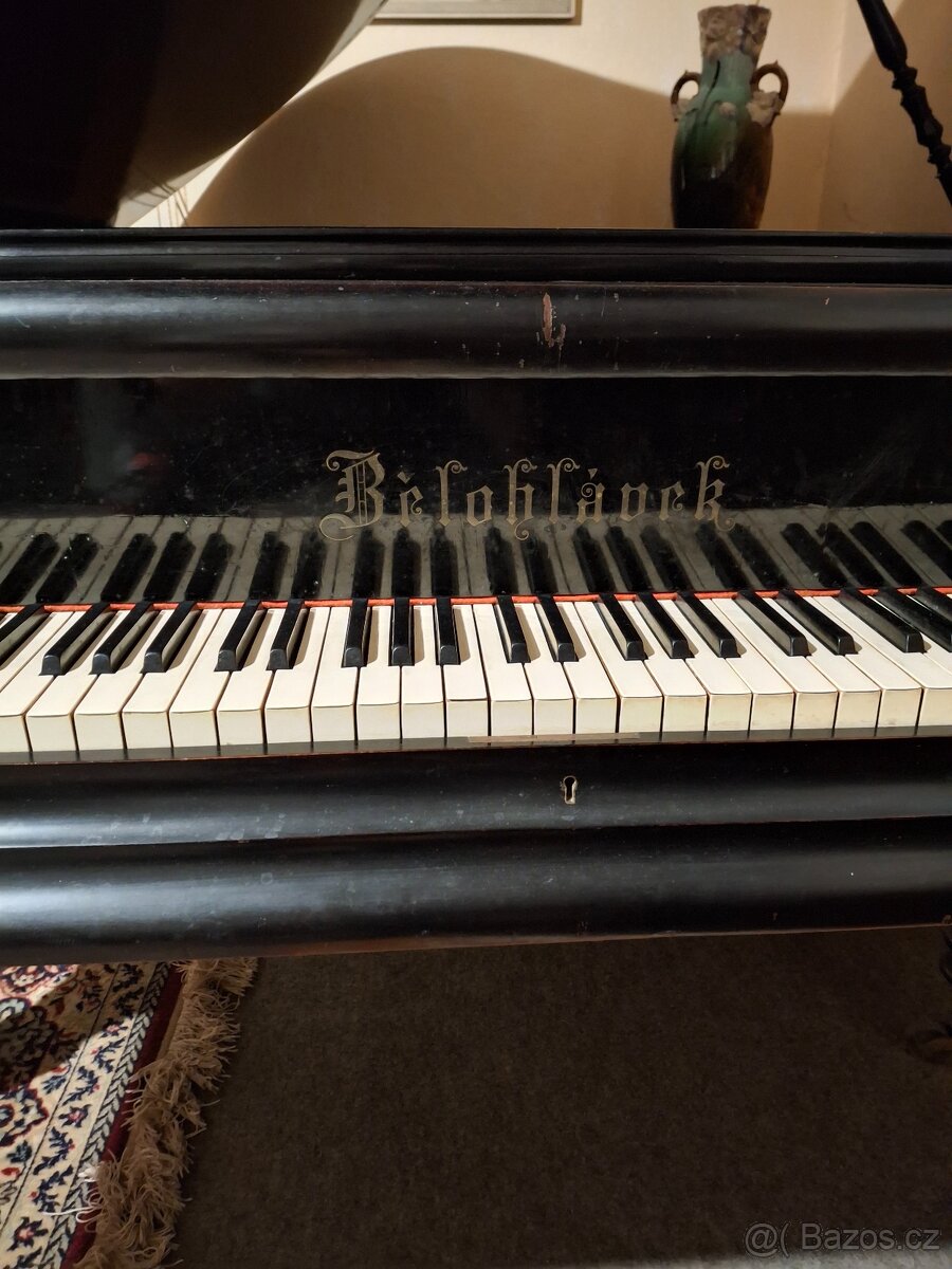 křídlo Bělohlávek - 3