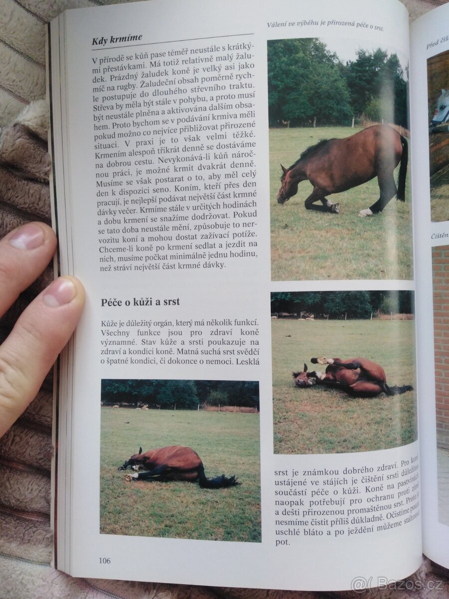 Koně Encyklopedie - 3