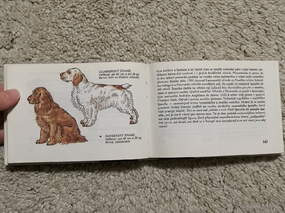 Vyberte se pejska - 3