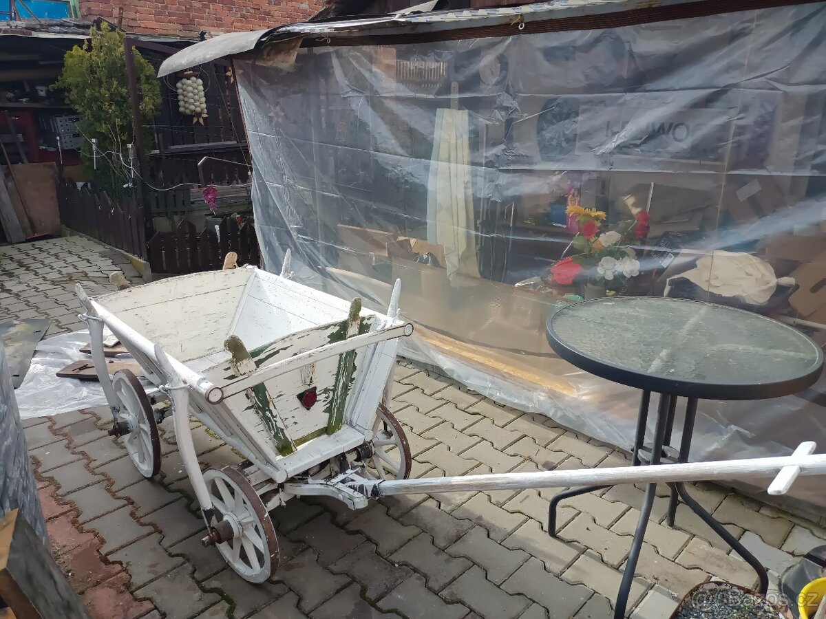 Zahradní Žebřiňák - 3