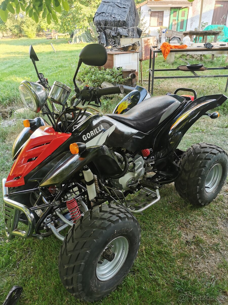 Bashan 200
