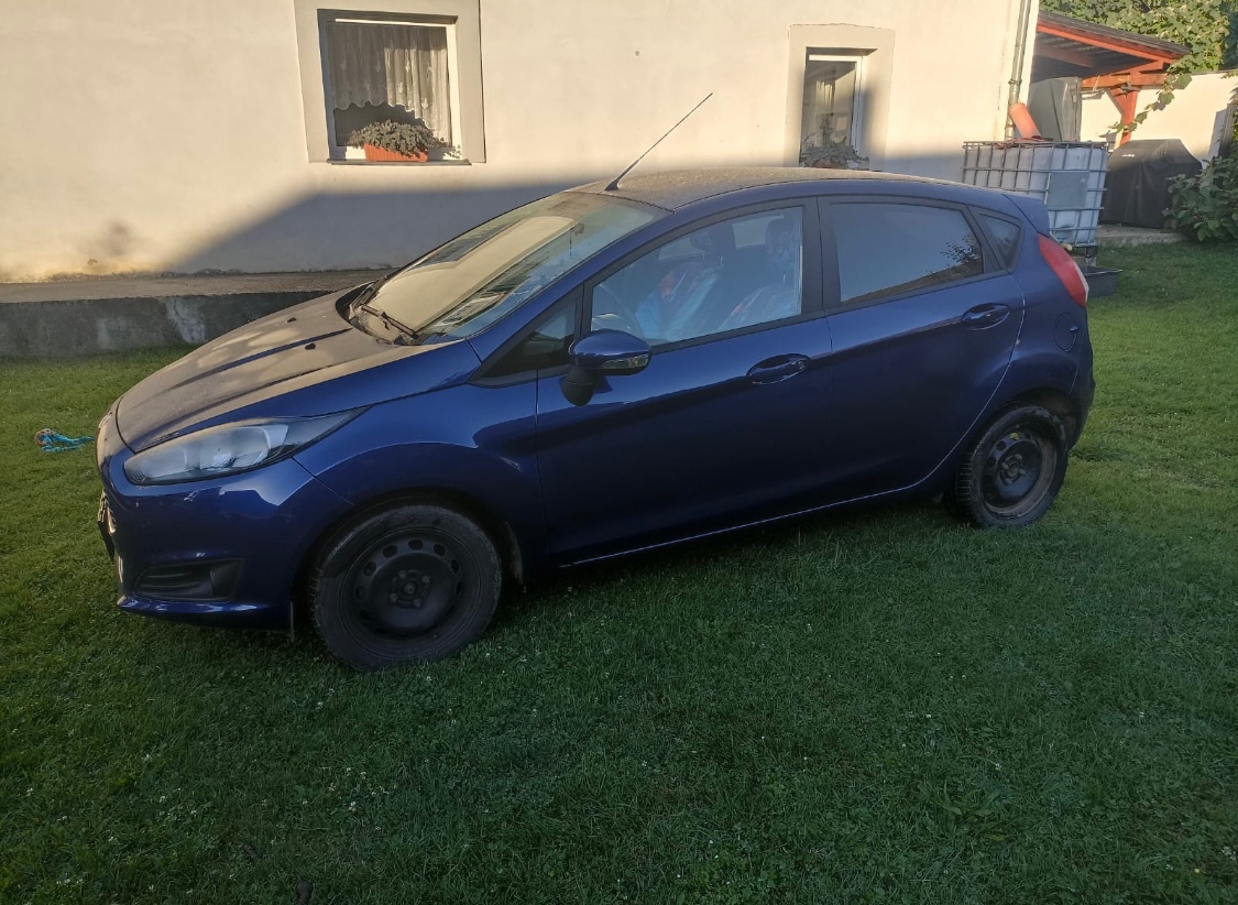 Ford fiesta 1.0 Ecoboost 74 kw - 3