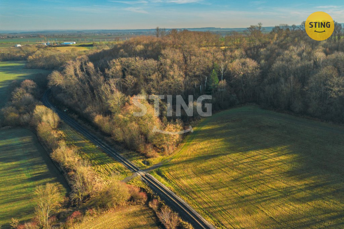 Prodej chaty a pozemku Topol, 134079 - 3