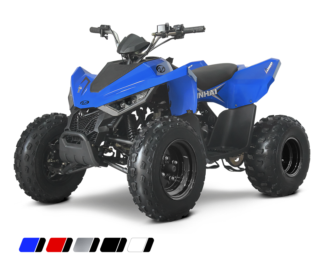 dětská čtyřkolka Linhai ATV 110 2x4