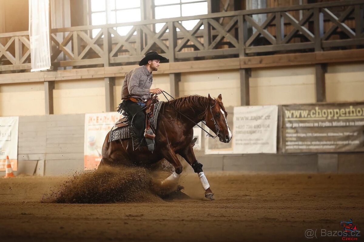 Qh kone na sport a rekreaci - 3