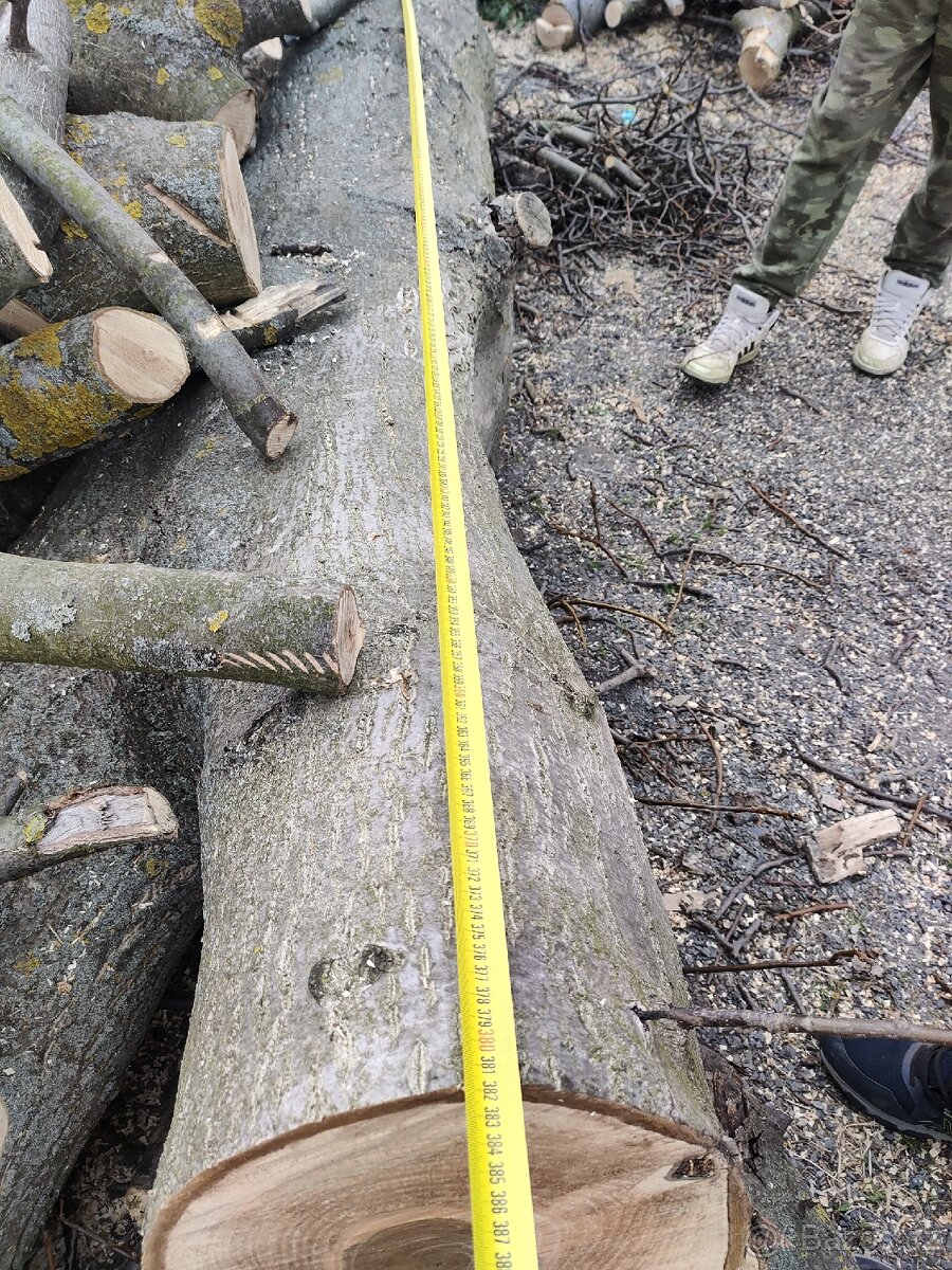 Prodám palivové dřevo Ořech - 3