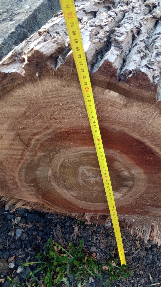 prodám dřevo - ořech - 3