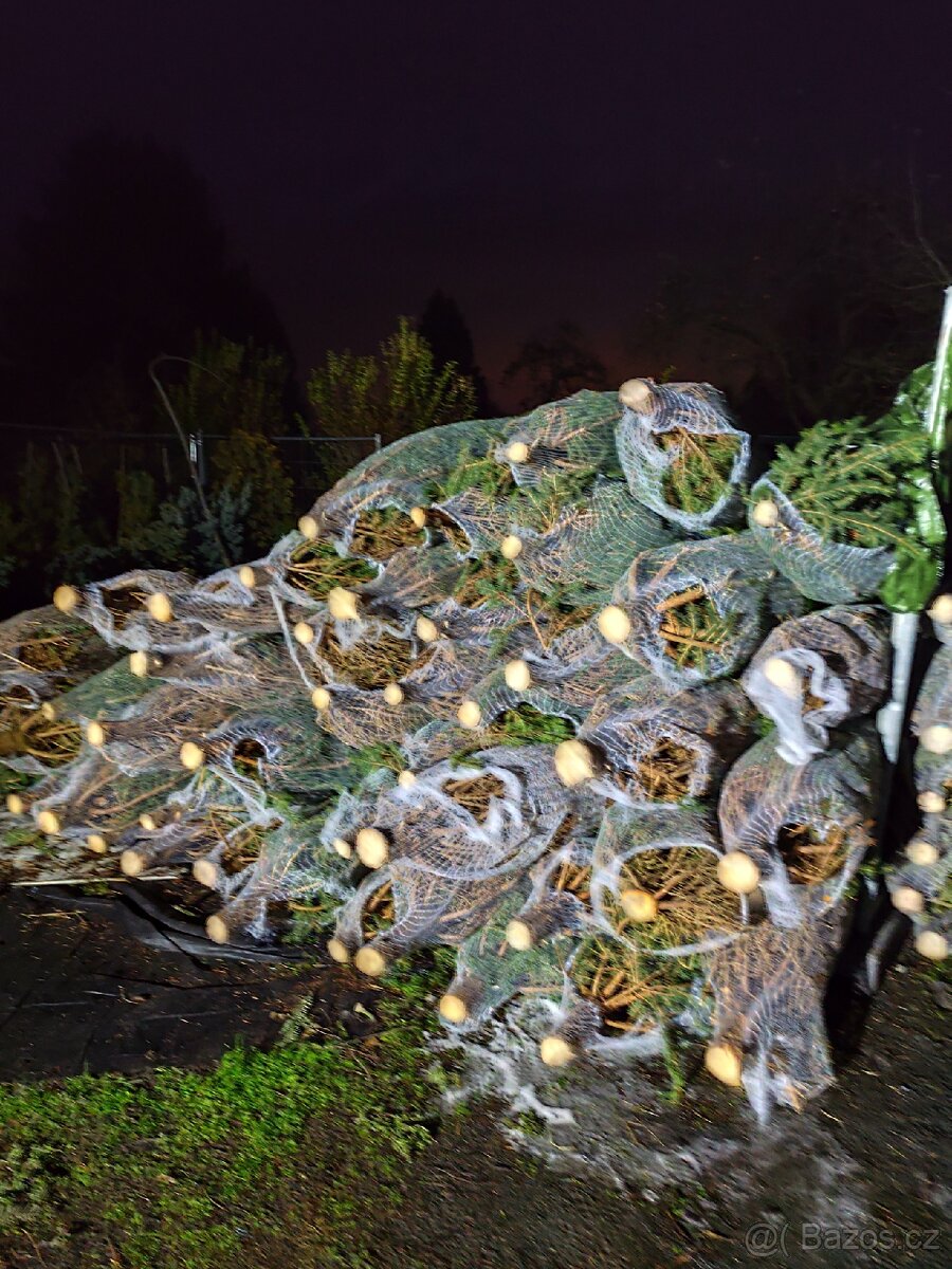 Vánoční stromky - 3