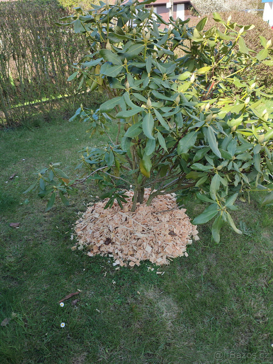 Mulčovací štěpka - 3