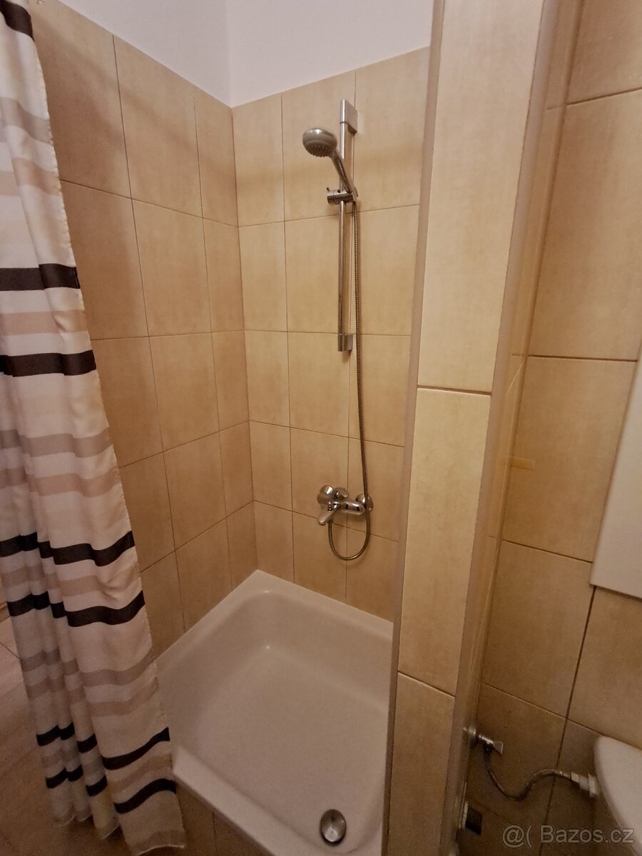 Pronájem 1+kk, Markova ul., Kdyně - 3