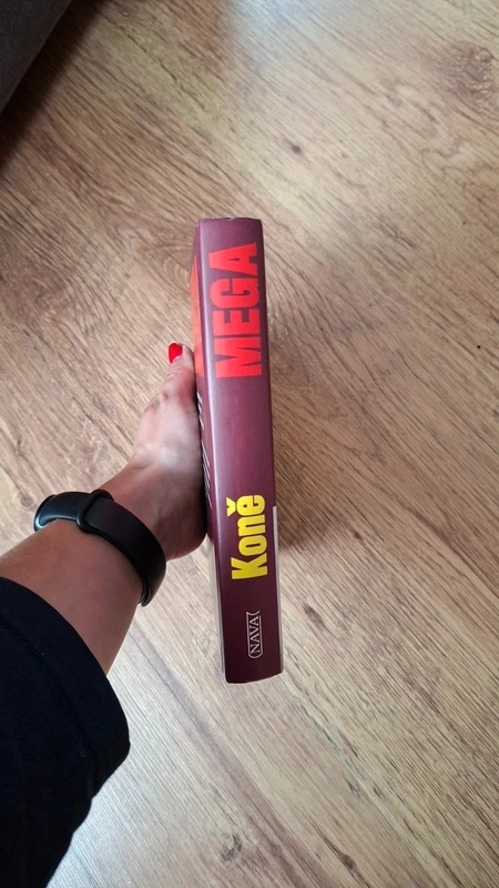 MEGA Koně - 3
