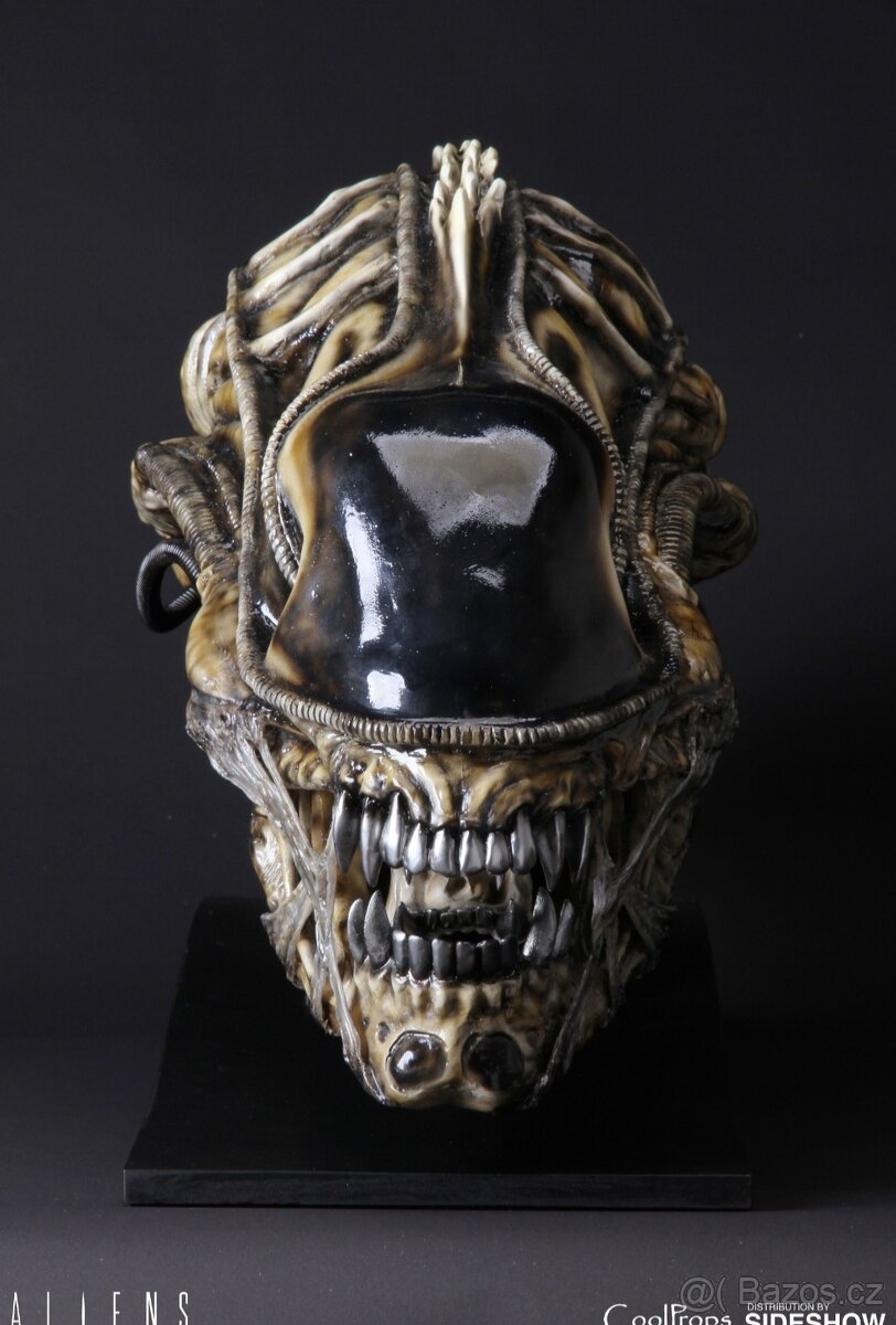 Alien head sideshow - 3