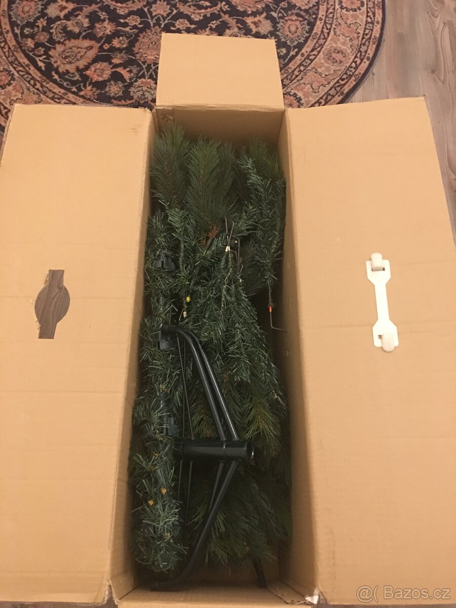 Stromeček Alaska Pine 150 cm. - 3