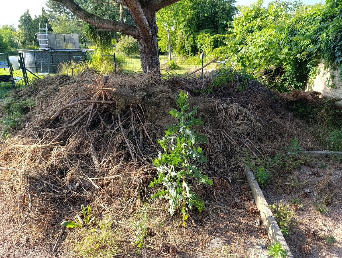 Bioodpad za odvoz - 3