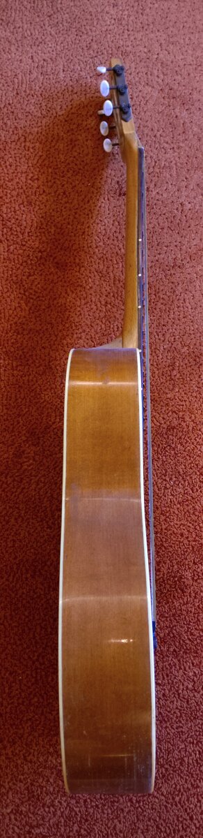 Dvanáctistrunná kytara Cremona Luby - 3