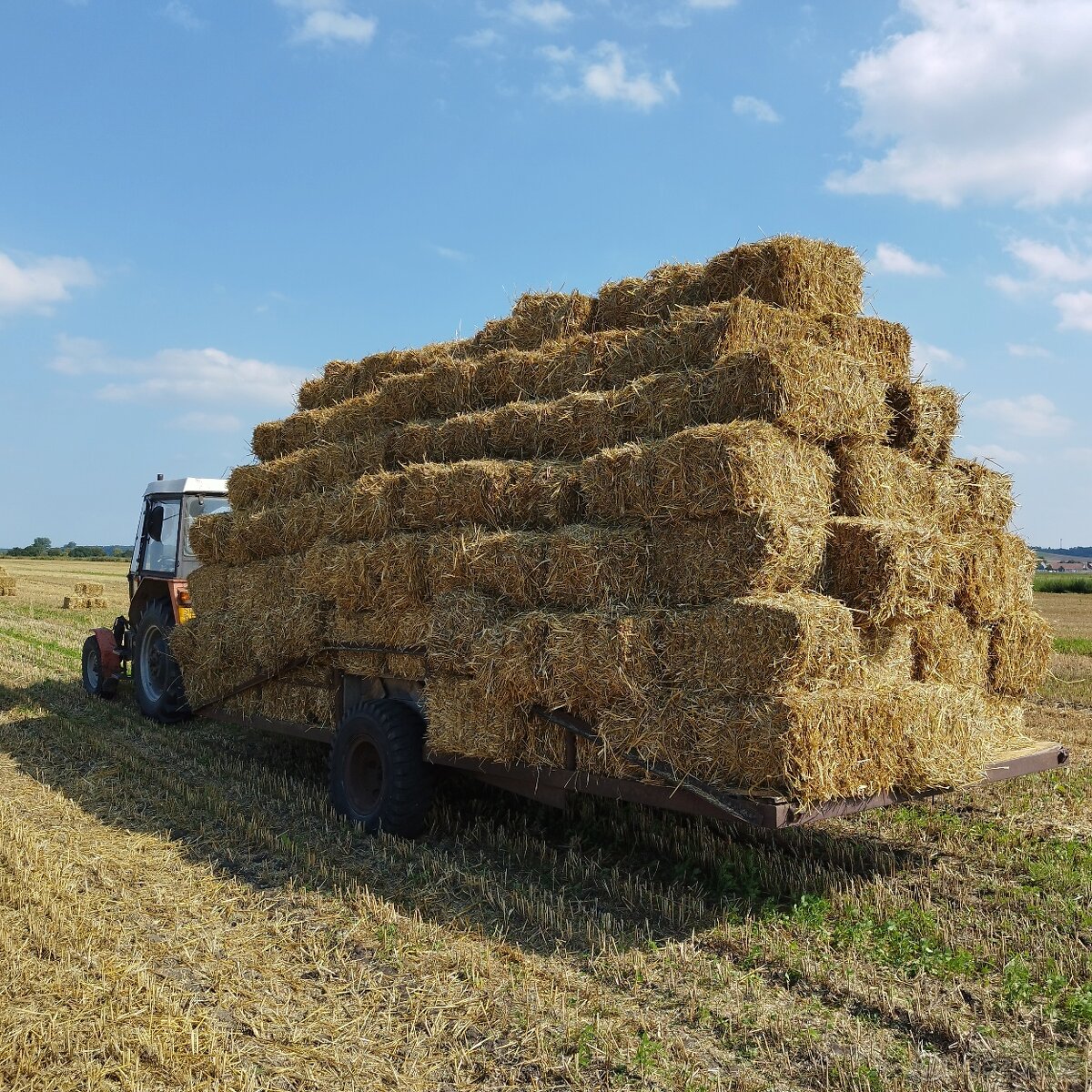 Malé hranaté balíky pšeničné slámy sklizeň 2025 - 3
