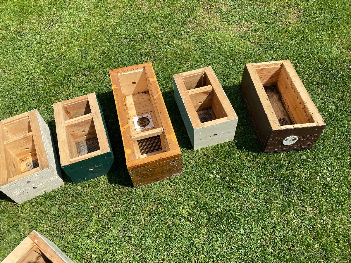 úl úly plemenáč úly plemenáče staré úly - 3