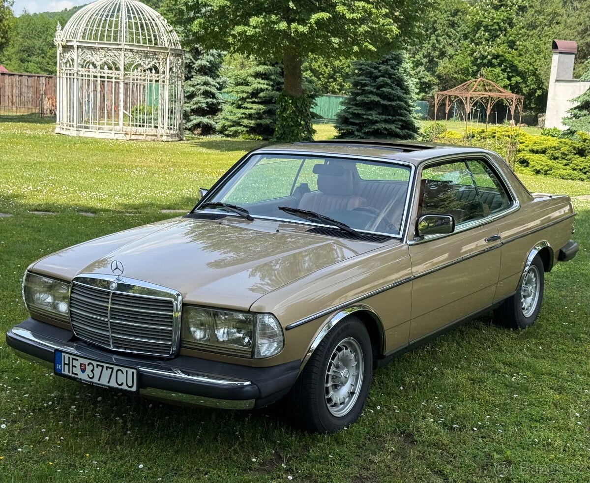 Mercedes w123 coupe 300cd - 3