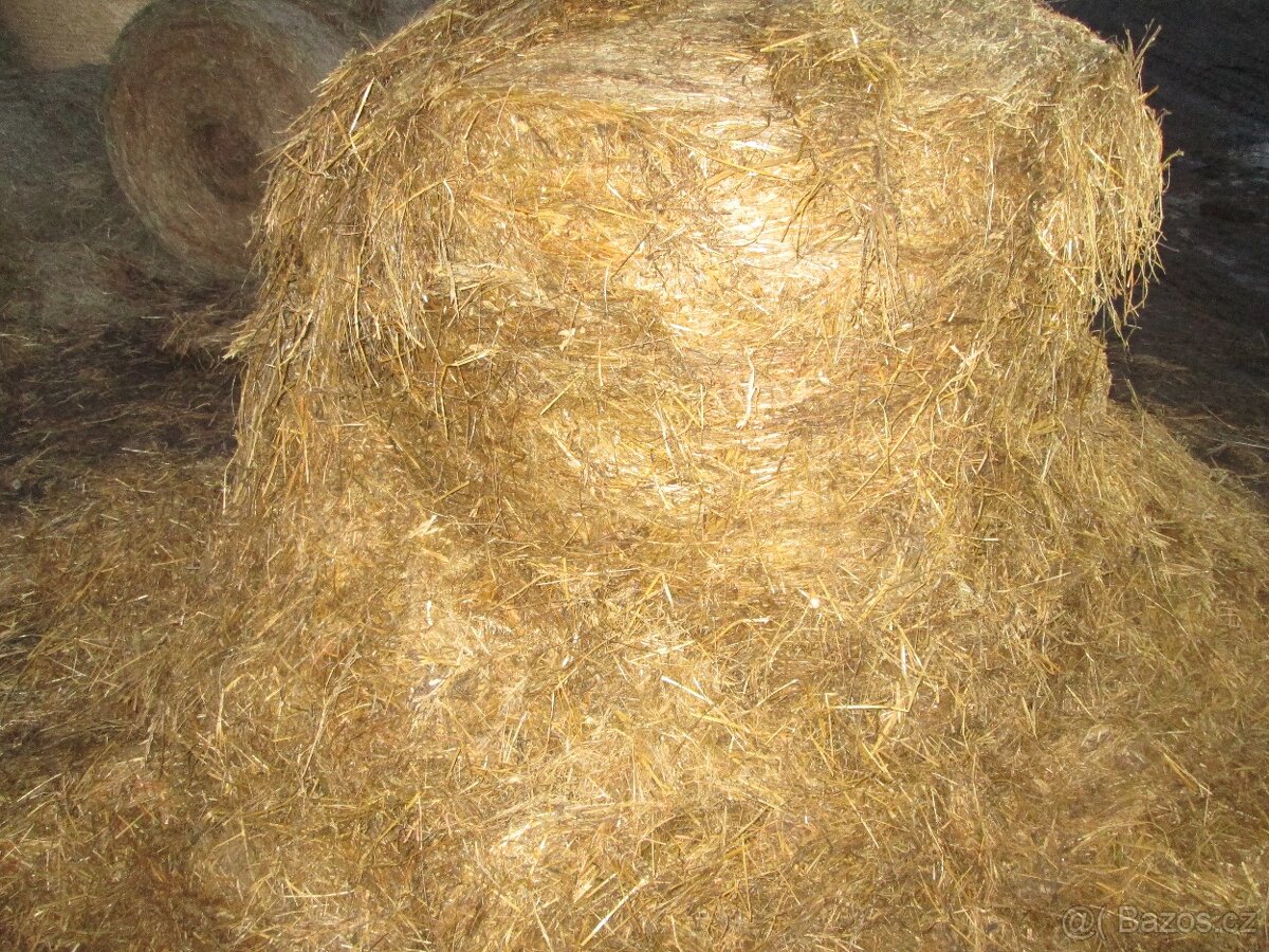 Prodám senáž - 3