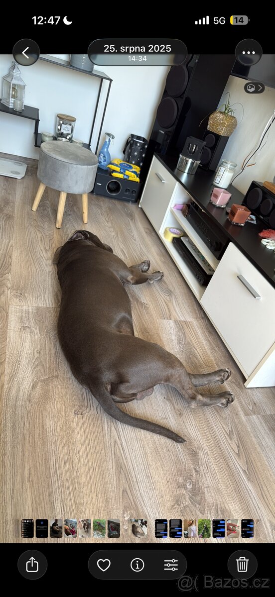 Prodám nábytek do bytu - 3