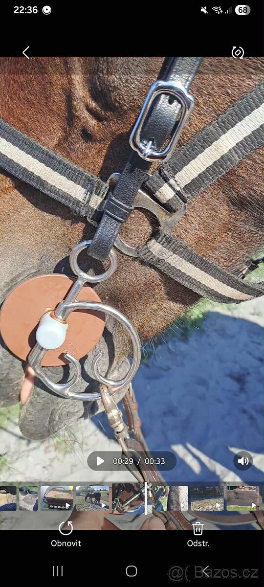 Udidlo BERIS Thiedelman ( Kimblewick ) - 3