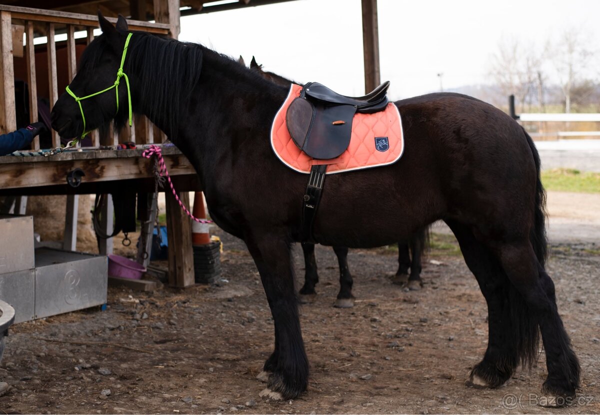 Sedlo na širšího koně - 3