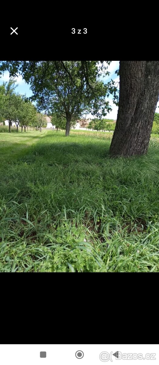 Prodám pozemek 495 m2 - 3