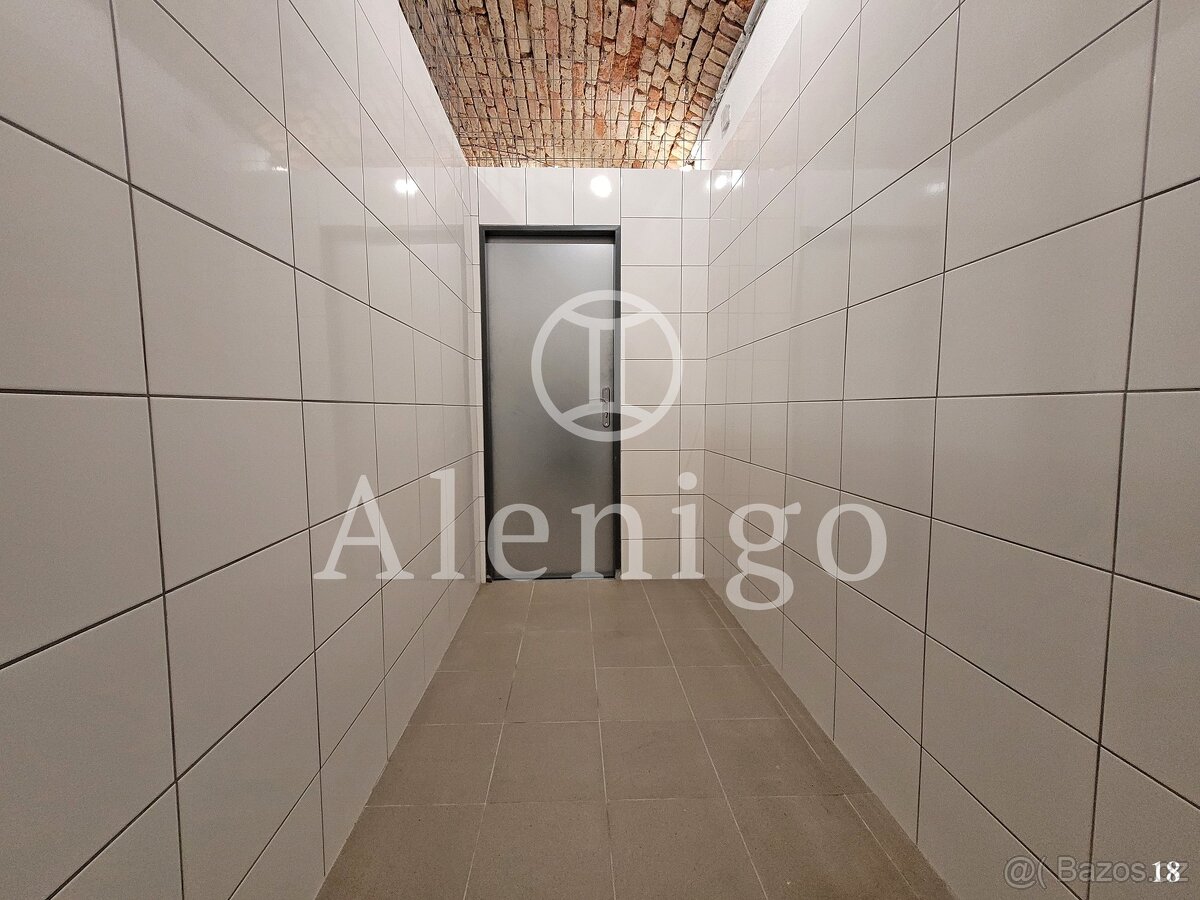 Prodej nebytových prostor 3,9 m², ul. U Rajské zahrady, Prah - 3