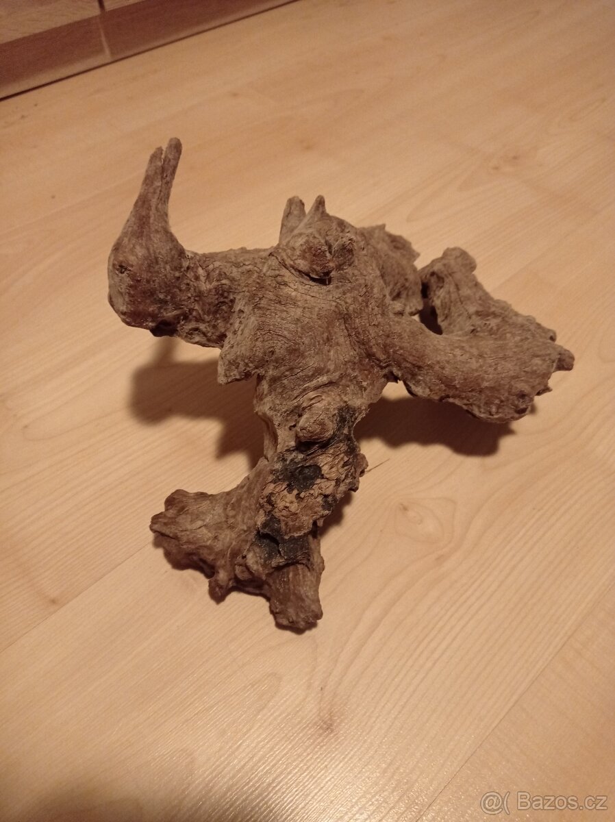 Kořen. - 3