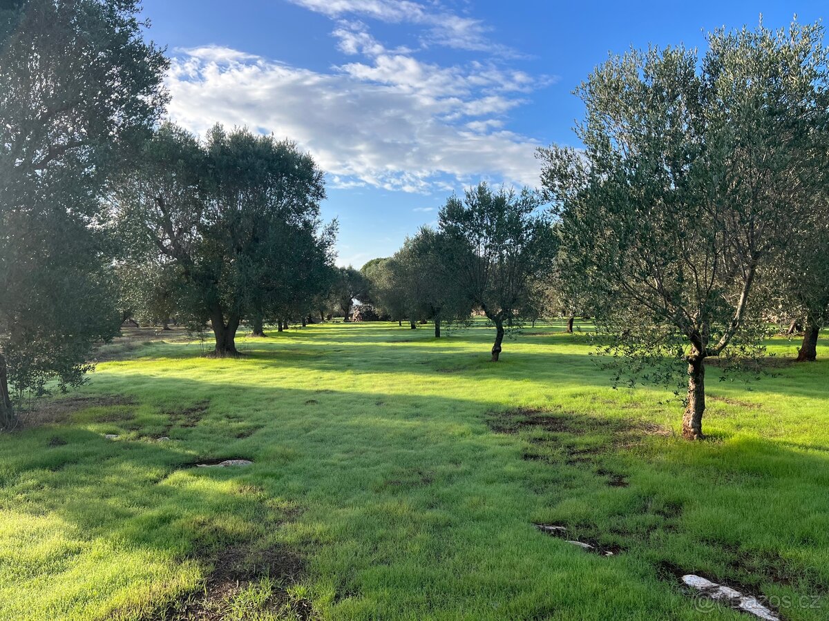 Pozemek u moře na jihu Itálie - 3